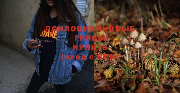 прущая мука Новозыбков