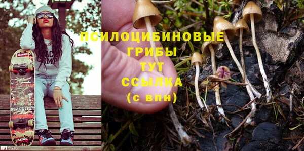 дживик Новокубанск