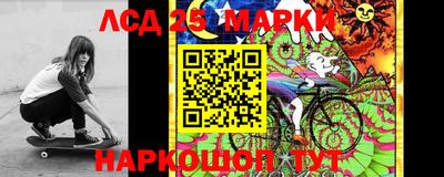 гидропоника Дубна