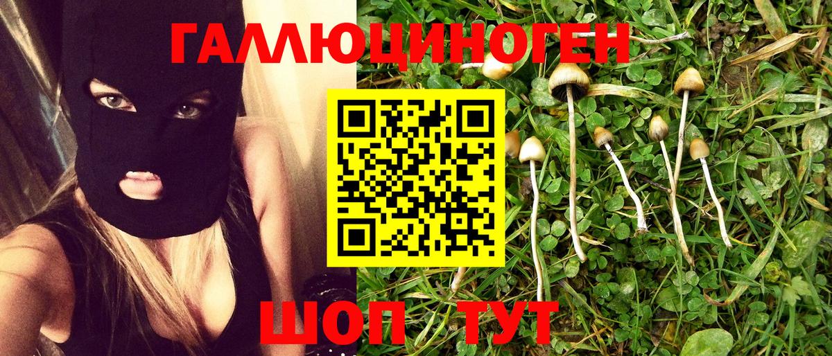 Карталы  Псилоцибиновые грибы MAGIC MUSHROOMS  Псилоцибиновые грибы MAGIC MUSHROOMS  Вход с VPN 